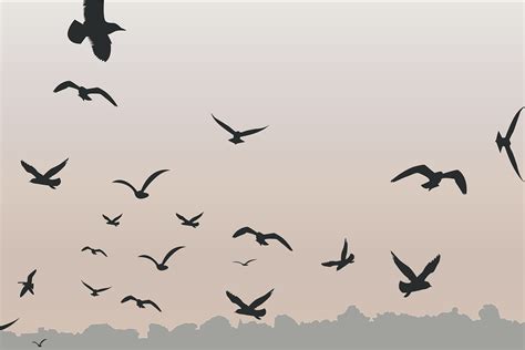 Download Birds, Flying, Sky. Royalty-Free Vector Graphic - Pixabay