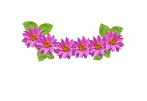 25+ Flower Headband Clipart Png - Tong Kosong