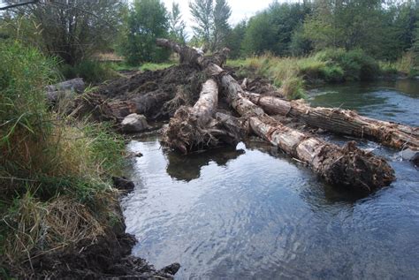 McCaw Fish Habitat Restoration Project Walla Walla County