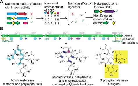 A Machine Learning Bioinformatics Method To Predict Off