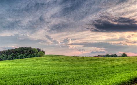 Nature Clouds Trees Landscape Field Wallpapers Hd Desktop And