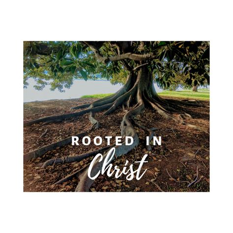 Rooted in Christ – The Fount