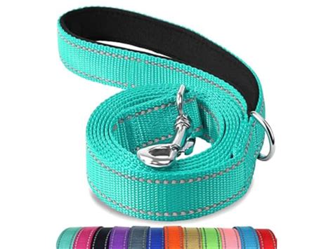 The 10 Best Reflective Dog Leashes of 2024 (Reviews) - FindThisBest