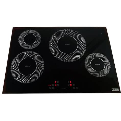 Bravo Kitchen 30 In Ceramic Electric Induction Modular Cooktop In