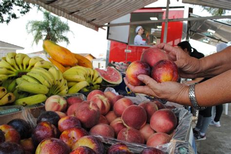 P Blico Encontra Variedade De Frutas Em Feira Na Pra A Santo Ant Nio