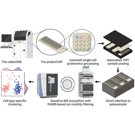 An Automated Nanowell Array Workflow For Quantitative Multiplexed