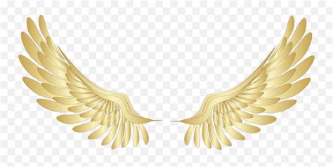 Golden Wings Png Angel Wings Png Gold Wings Png Free Transparent