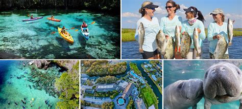 Uncover the Secrets of the Crystal River Springs – The Hidden Gem of Central Florida | Beatrice ...