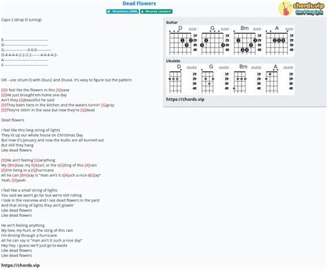 Hợp âm: Dead Flowers - cảm âm, tab guitar, ukulele - lời bài hát ...