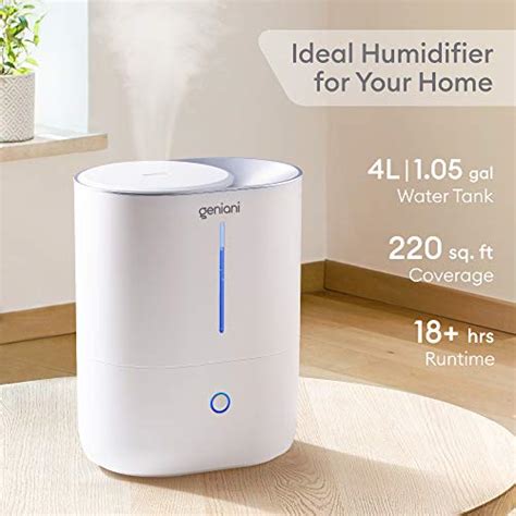 7 Best Humidifier For Plants Reviewed Buyer S Guide