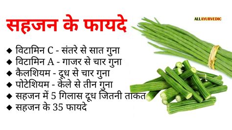 सहजन के फायदे All Ayurvedic