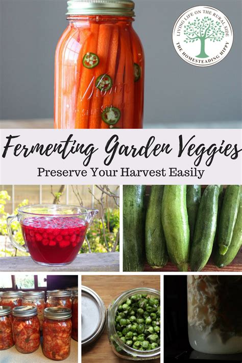 Preserve Your Garden Harvest With Fermentation