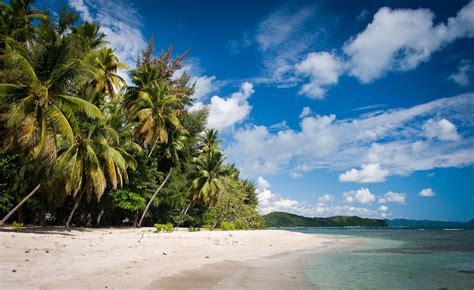 Landscape Sea Bay Water Nature Shore Sand Beach Coast Palm