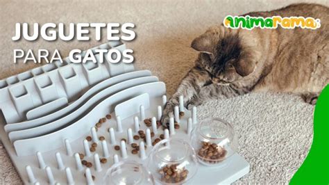 T Cnicas De Enriquecimiento Ambiental Para Gatos Que Mejorar N Su