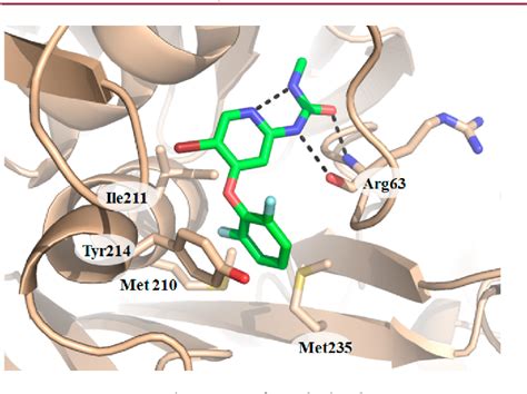 Figure 1 from Novel Series of Potent Glucokinase Activators Leading to ...