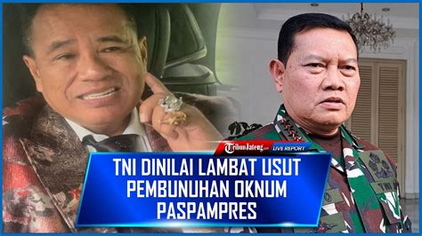 Hotman Paris Tantang Panglima TNI Hingga TNI Dinilai Lambat Usut