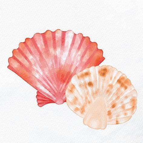 'Scallop Shells 1' Art Print - Kimberly Allen | Art.com | Art prints ...