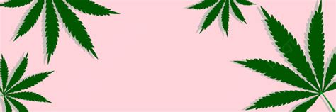 Cannabis Leaves Background, Cannabis, Leaf, Ganja Background Image for ...