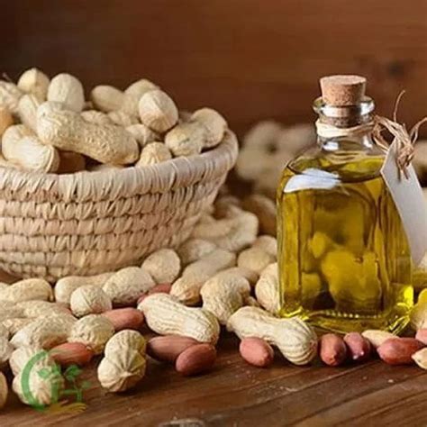 Liquid Mono Unsaturated Organic Groundnut Oil At Best Price In Kota