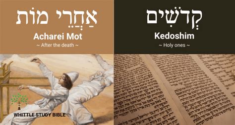 Parshat Acharei Mot Kedoshim Whittle Study Bible