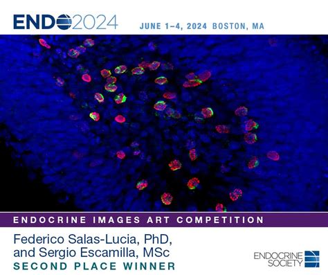 Winners Announced For The Endocrine Societys 2024 Endocrine Images Art