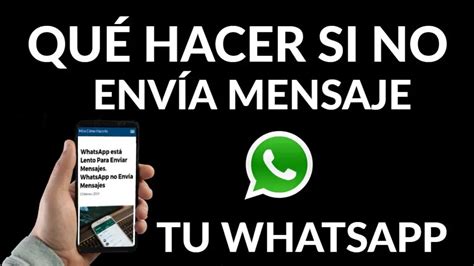 ¿por Qué No Se Envían Los Mensajes De Whatsapp Haras Dadinco