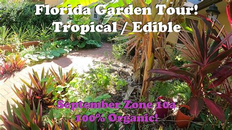 Florida Organic Tropical Edible Garden Tour Zone A September