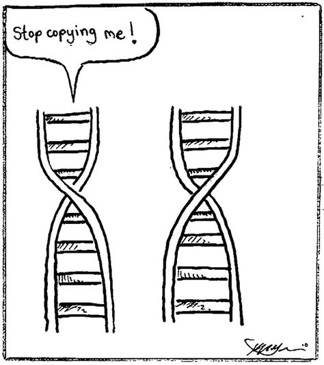 20 Funny Dna Jokes And Pick Up Lines With Explanations Biology Jokes Science Jokes