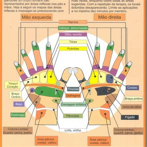 Qual A Parte Mais Sensivel Do Corpo Humano Braincp