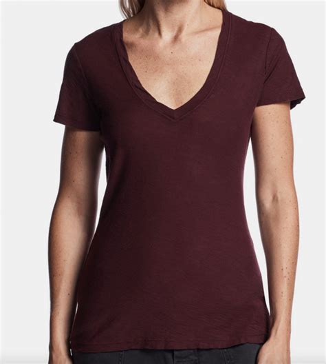 James Perse Morelia Burgundy Sheer Slub Casual V Neck Gem