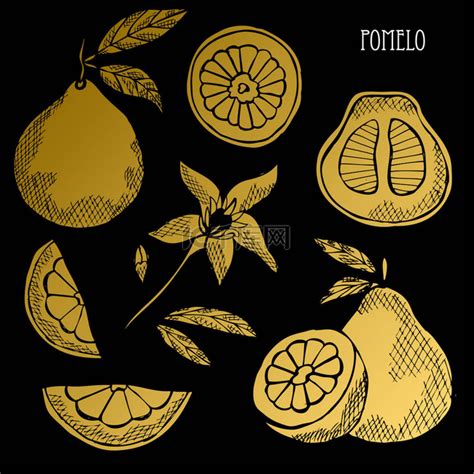 Hand Drawn Golden Pomelos Whole And Sliced Design Elements Can Be