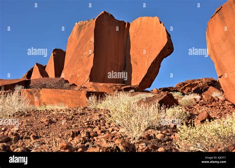 Bushman Prehistoric Rock Engravings At The Unesco World Heritage Center