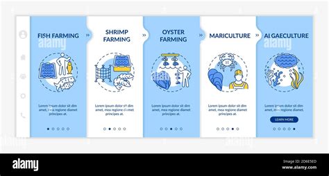 Aquaculture types onboarding vector template Stock Vector Image & Art - Alamy