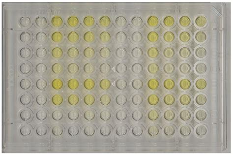 Elisa Plate Yellow