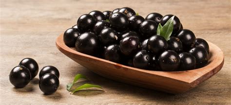 Jabuticaba a fruta do Brasil para os brasileiros Da Mata Atlântica