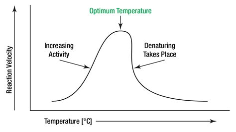 Temperature Of Life Telegraph