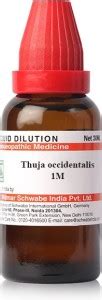 Dr Willmar Schwabe India Thuja Occidentalis 1M 1M Liquid Price In India