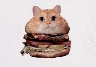 How Can I Make Burger Cat R Photoshop