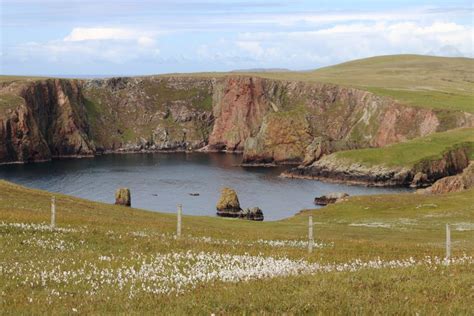 Planning A Trip To Shetland The Ultimate Guide