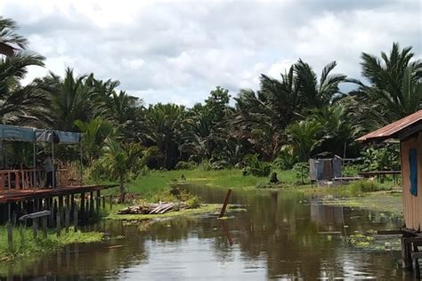 Foto Cara Kampung Yoboi Papua Merawat Alam Sampah Ditukar Internet