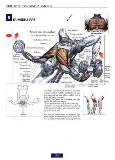 Health and Fitness Programs: Chest Workout Routine for Mass