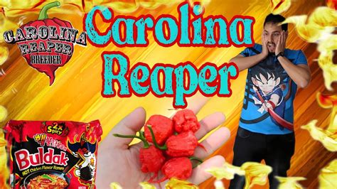 PROBANDO el PIMIENTO MÁS PICANTE del MUNDO CAROLINA REAPER YouTube