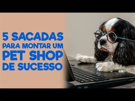 Como Montar Um Pet Shop De Sucesso YouTube