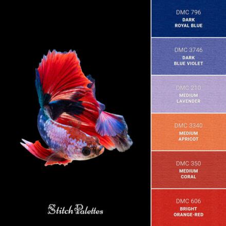 Colorful Betta Fish - Embroidery Color Palette (With Thread Codes)