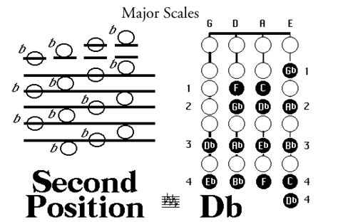 Violin Scale Sheet Hot Sex Picture