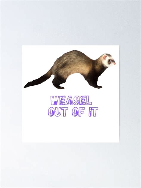 Weasel Out Of It Poster By Dimore Redbubble