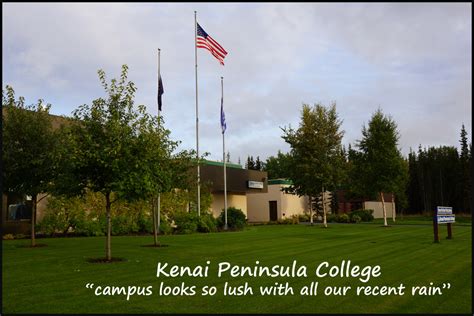 alaska blue moose: Kenai Peninsula College