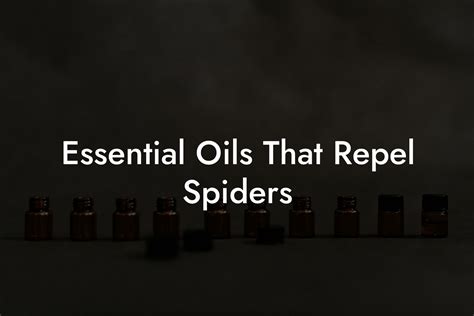 Essential Oils That Repel Spiders Oshu Artisan Essential Oils