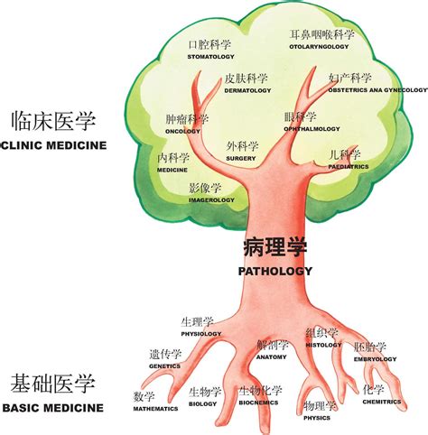 病理学在医学中的地位 病理学图谱 医学