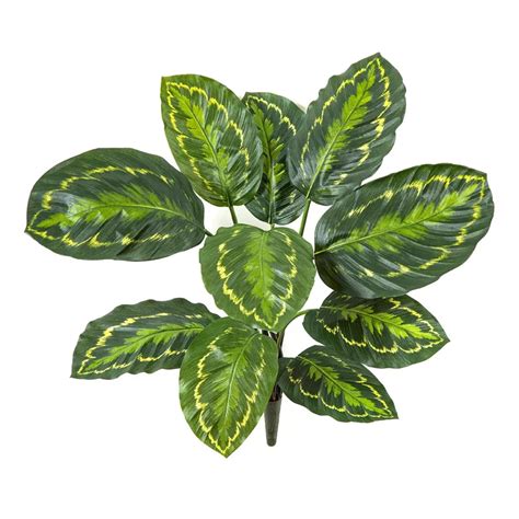 Calathea roseopicta artificiel 53 cm plantes vertes et colorées